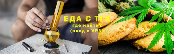 мдпв Дедовск