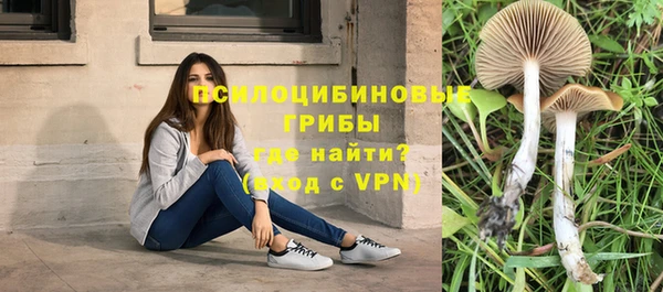 бошки Слюдянка