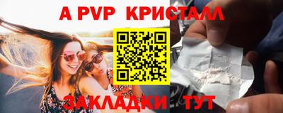 тгк Бийск