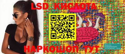 тгк Бийск