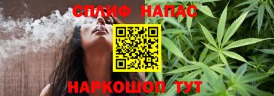 тгк Бийск