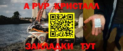 тгк Бийск