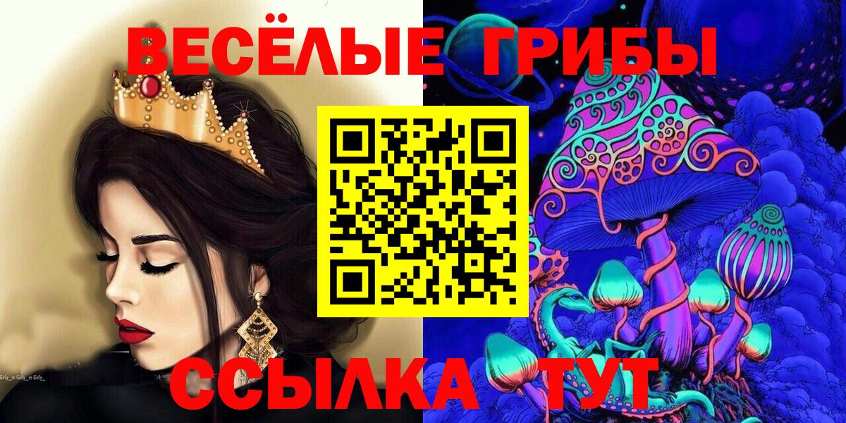 Богородицк  закладка  Вход с VPN  Галлюциногенные грибы мицелий 