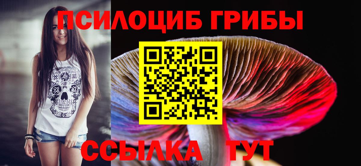 Псилоцибиновые грибы Psilocybine cubensis  Богородицк 
